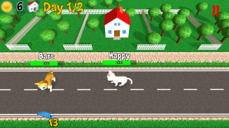 Hungry Cats screenshot 8