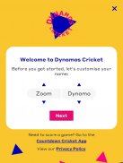 Dynamos Cricket screenshot 6