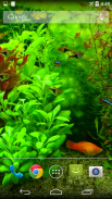 Real Aquarium 3D Wallpaper screenshot 1