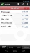 Cashflow Balance Sheet screenshot 4