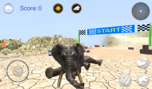 Talking Elephant screenshot 7