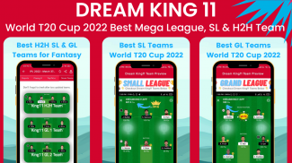 Dream King11™ Dream Prediction screenshot 5