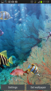 O aquário real - papel animado screenshot 8