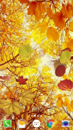 Falling Leaves Live Wallpaper screenshot 15