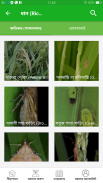 Fosholi - Best Agriculture App screenshot 4