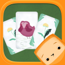 Pikkuli - Card Match Game Icon