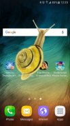 Snail in Phone best joke screenshot 0