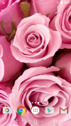 Roses Live Wallpaper screenshot 5