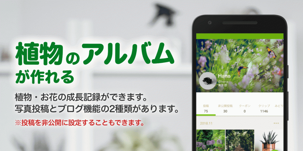 Greensnap 植物 花の名前が判る写真共有アプリ 2 21 11 Descargar Apk Android Aptoide
