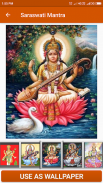 Saraswati Mantra screenshot 3