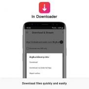 In Downloader - File download & Video streaming screenshot 7