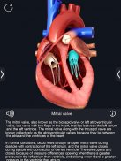 Heart Anatomy Pro. screenshot 1