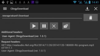 ClingyDownload Manager screenshot 2