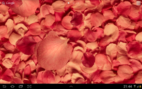 Petals 3D live wallpaper screenshot 1