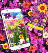 Flowers live wallpaper screenshot 2