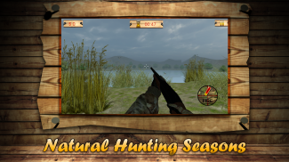 Vịt săn bắn 3D-season 1 screenshot 4