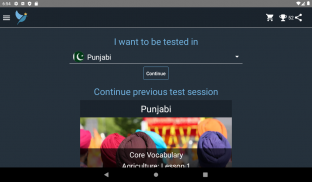 Punjabi Language Tests screenshot 21