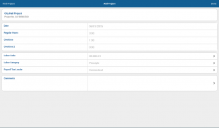 Deltek Vision Time & Expense screenshot 2