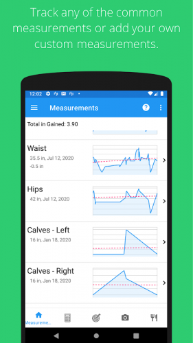 Body Measurement Body Fat And Weight Loss Tracker 3 4 6