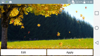 Falling Leaves Live Wallpaper screenshot 7