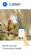 Birder.AI - The Bird Sound Ide screenshot 2