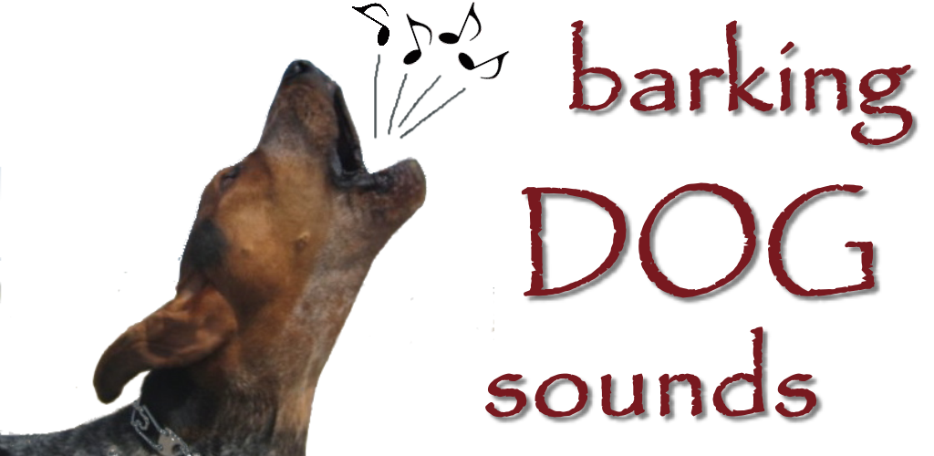 Вой собаки песня. Звук собаки. Гавканье собаки звук. Картинки на звук собака. Barking Sounds.