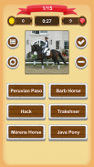 Horse Quiz screenshot 16