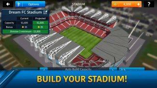 Dream League Soccer 2017 screenshot 4