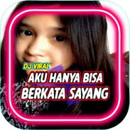 dj Remix Aku Hanya Bisa Berkata Sayang screenshot 4