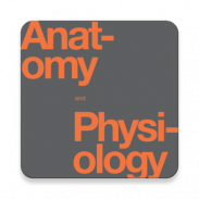 Anatomy & Physiology Textbook , MCQ & Test Bank screenshot 8