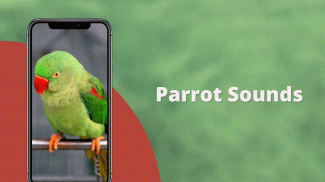 Parrot Sounds screenshot 0