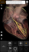 Anatomie - 3D Atlas screenshot 4