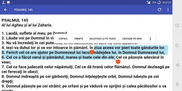 Psaltirea Ortodoxă screenshot 3