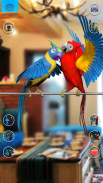 Talking Parrot Couple screenshot 4