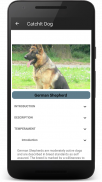 CatchIt Dog - Dog breeds scanner photo screenshot 6