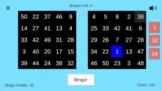 Bingo Star screenshot 3