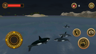 Orca Survival Simulator screenshot 3