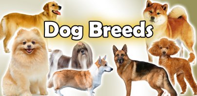 Dog Breeds | The Doggy Dossier