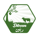 Dibeen - Online Local Market