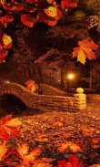 Autumn Twinkle Lights live wallpaper screenshot 3