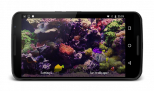 Tropical Fish Live Wallpaper screenshot 5