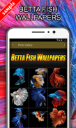 Betta Fish Wallpapers screenshot 0