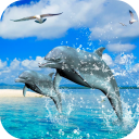 Dolphins 3D Video Wallpaper