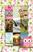 Cute Owl Wallpapers screenshot 6