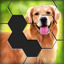 Hexa World Jigsaw - Free Puzzle Quest - Baixar APK para Android | Aptoide