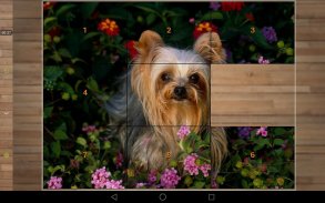 Dog Puzzle Games screenshot 0