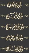 Quran Kareem - Panj Surah screenshot 0