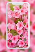 Spring Wallpaper 🌸 🌹 🌺 🌻 🌼 🌷 screenshot 2