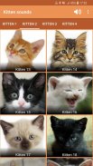 Kitten Sounds screenshot 4
