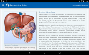 Gastrointestinal System screenshot 1